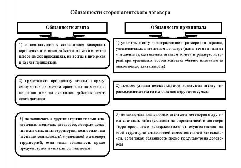 Обязанности и права агента в договоре