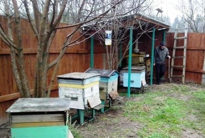 Как решить спор о делении ограждения и высоте конструкции