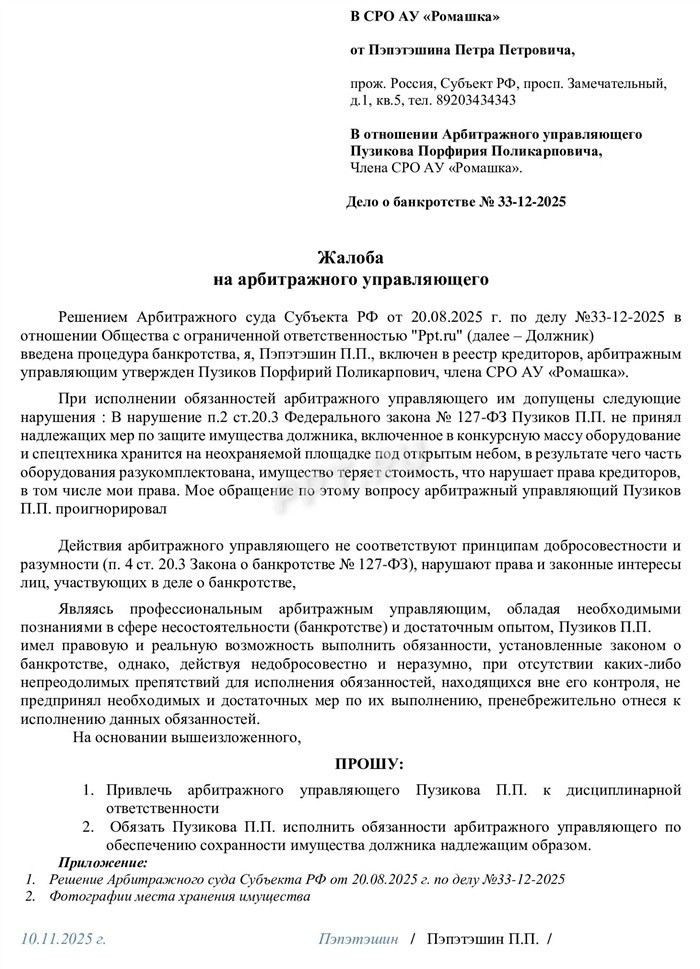 Порядок подачи жалобы в Росреестр: пошаговая инструкция