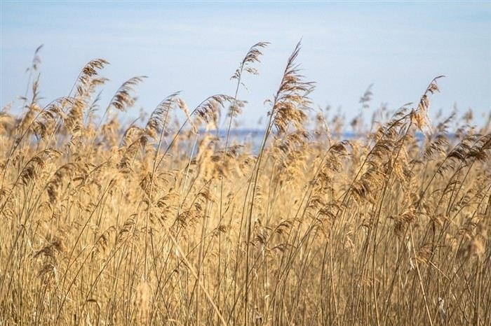 Документы, которые нужно подготовить перед встречей с юристом