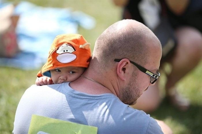 Нормативная база для подачи возражения на иск об увеличении алиментов