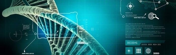 Оценка судом заключения эксперта в контексте наследственных споров