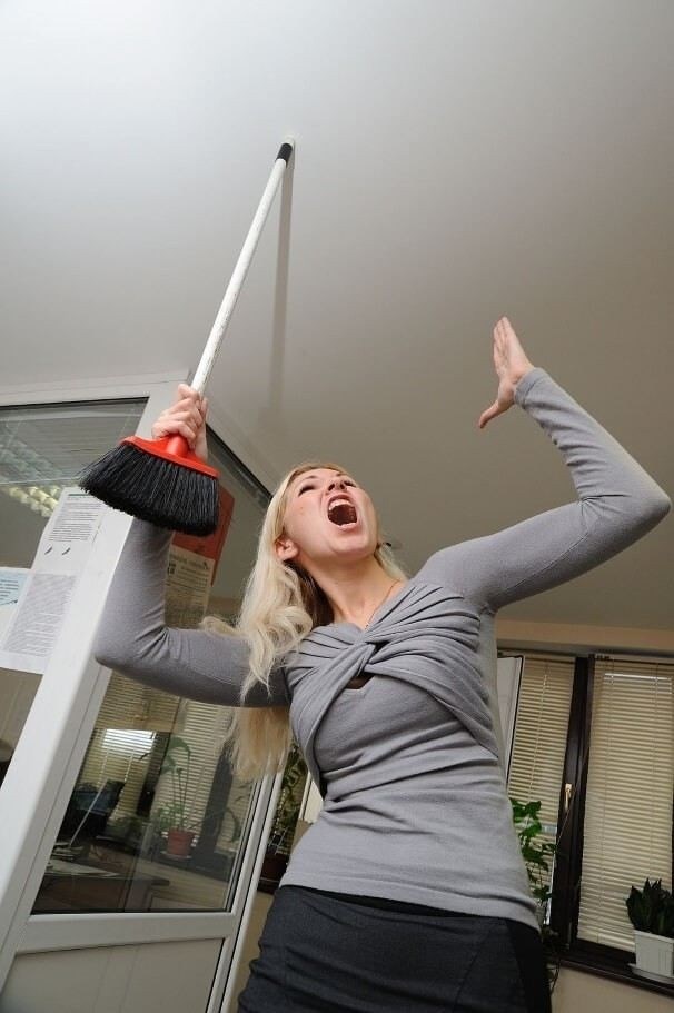 Как собрать доказательства для подачи иска на соседей