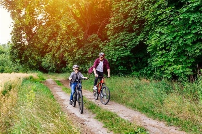 Роль адвоката при разделе имущества и как выбрать специалиста