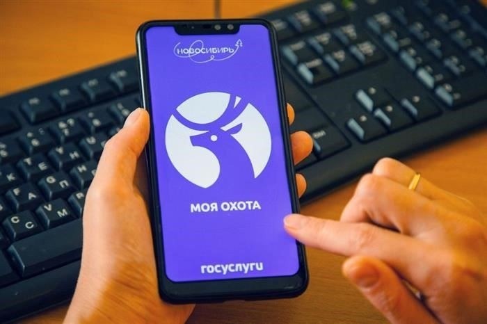 Как подать заявку на получение охотничьей лицензии в этом районе