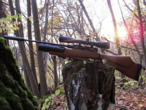 Какие пневматические винтовки можно купить без лицензии