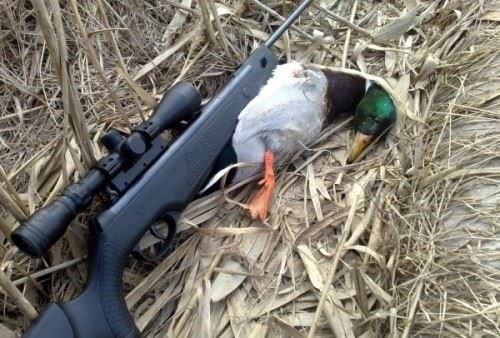 Самые мощные модели