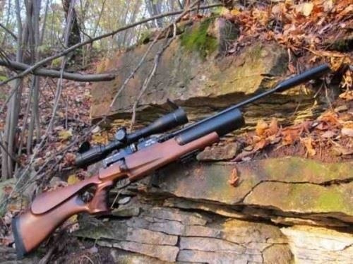 Особенности охоты с пневматикой