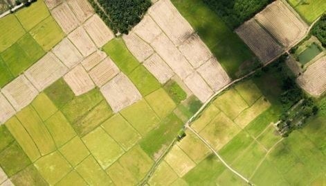 Подготовка документов для выделения земельного участка