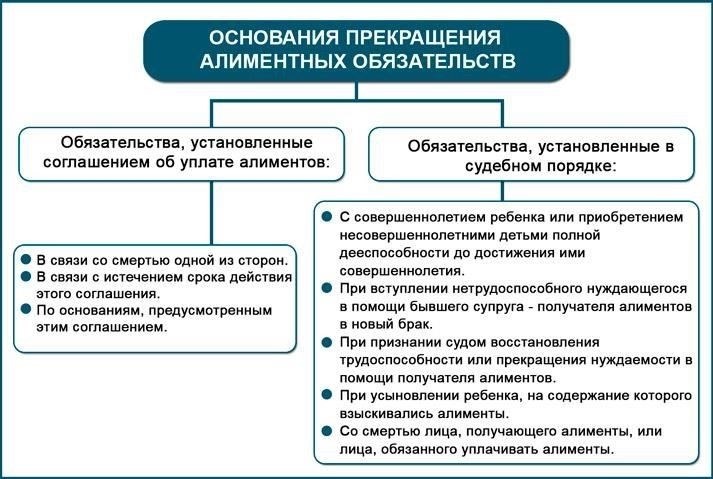 Основные требования к выплате алиментовСогласно последнему законопроекту, внесенному в Государственную Думу, супруги, не выплачивающие алименты, могут столкнуться с юридическими последствиями. Те, кто обязан платить алименты, должны знать, что Министерство юстиции может вмешаться в ситуацию, если выплаты задерживаются на длительный срок. В законе также отмечается, что выплаты могут быть скорректированы, если получатель становится недееспособным или не в состоянии содержать себя самостоятельно.