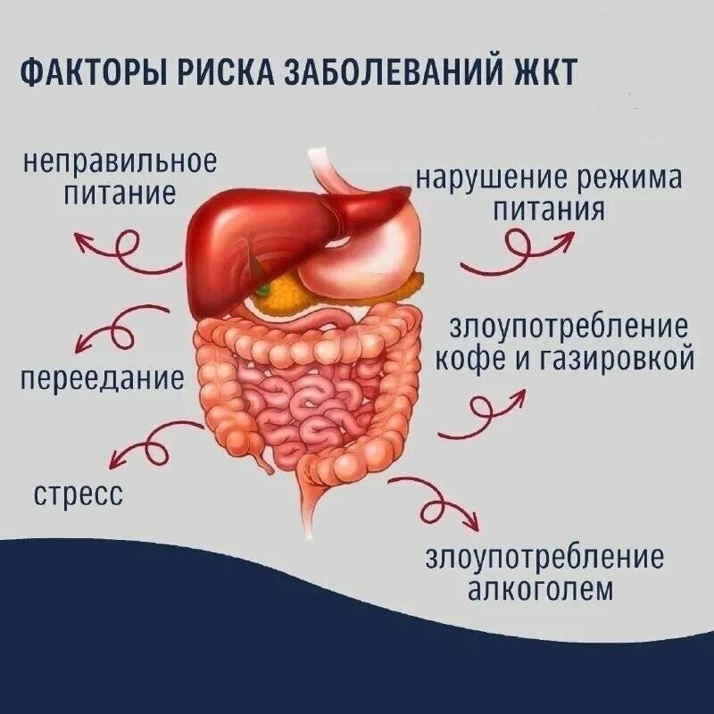 Проблемы со здоровьем: Из-за антисанитарии участились случаи желудочно-кишечных заболеваний, таких как гастрит. Людям рекомендуется быть осторожными с продуктами, которые могут вызвать переедание или раздражение.