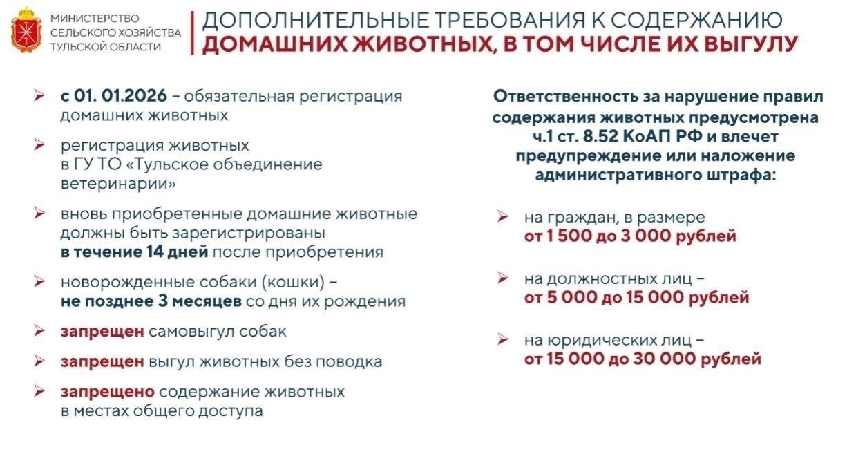 Прокуратура разъясняет правила содержания домашних животных в Тульской области