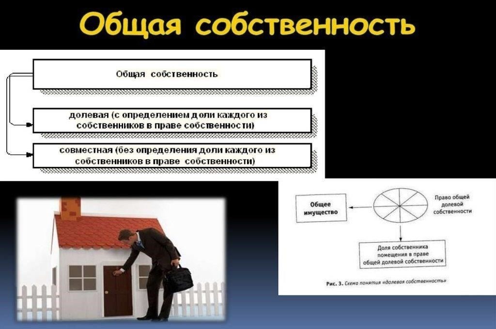 Сроки регистрации передачи совместной собственности